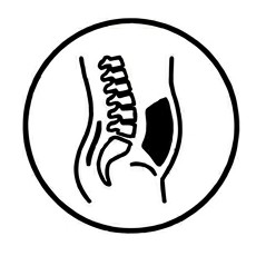 RÜCK-BAUCH-SITZVERSORGUNG